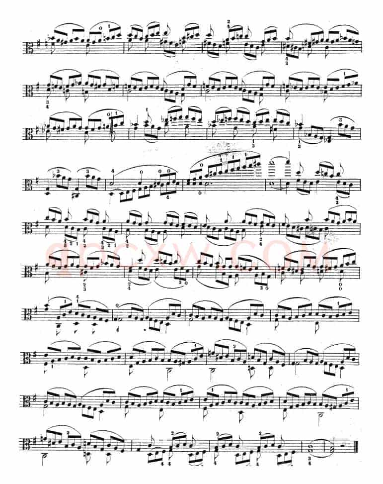 克莱采尔《中提琴练习曲40首》（ETUDE 36-38）