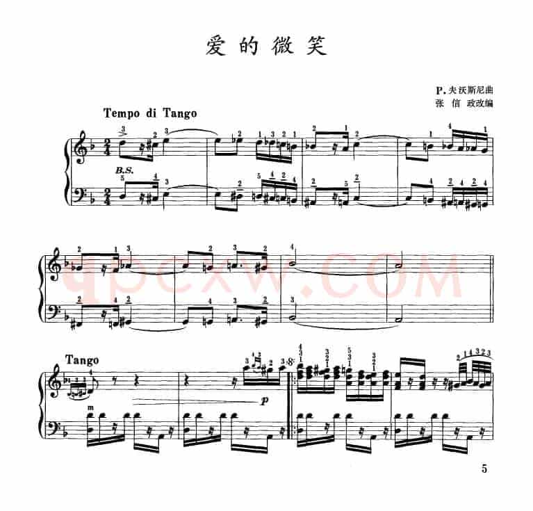 爱的微笑（张信政改编版）