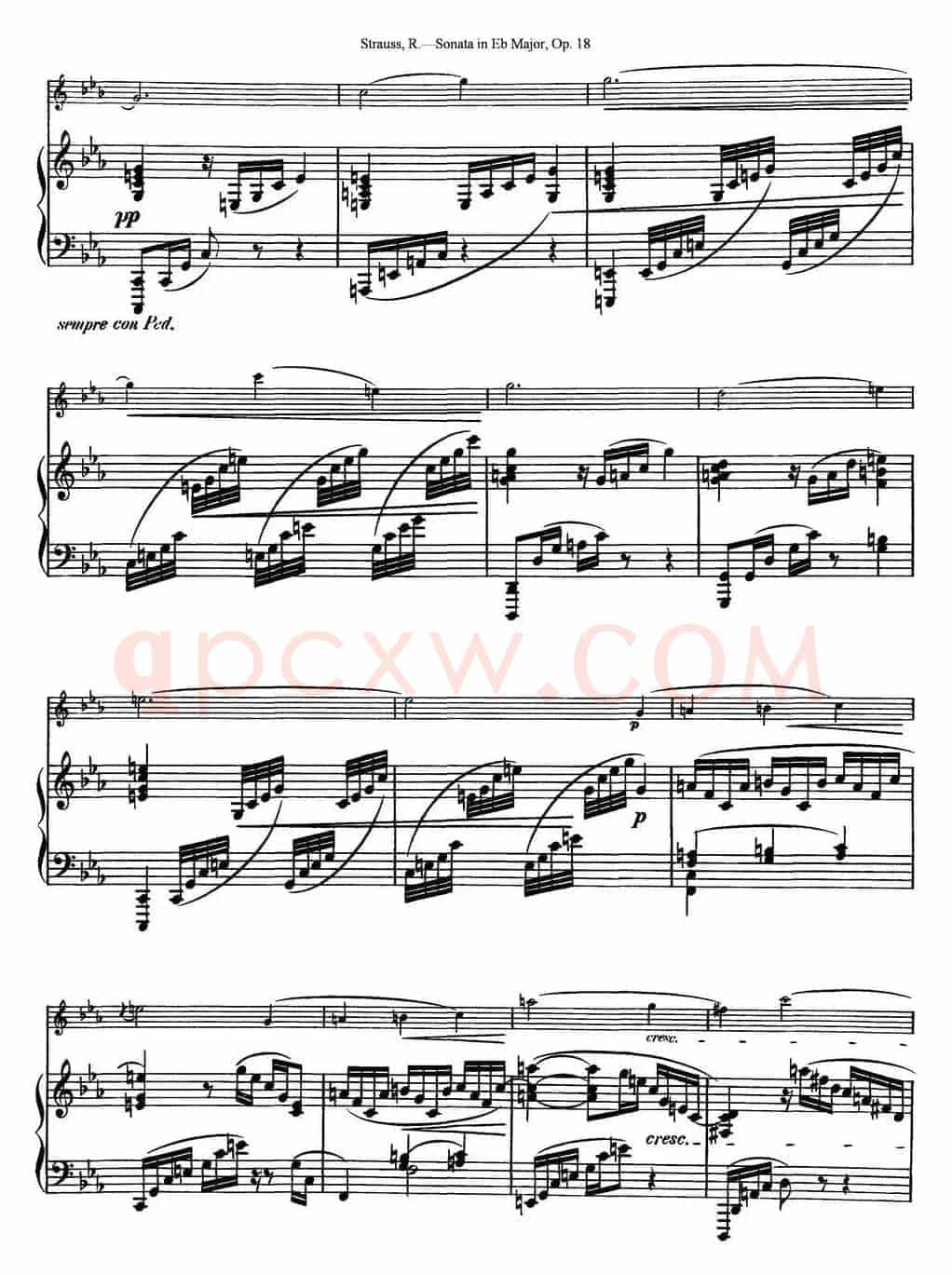 Violin Sonata in Eb Major Op.18（小提琴+钢琴伴奏）