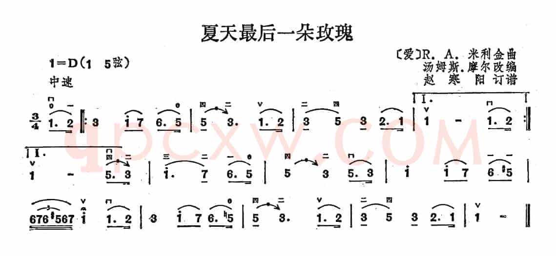 夏天最后一朵玫瑰（赵寒阳的订谱版）