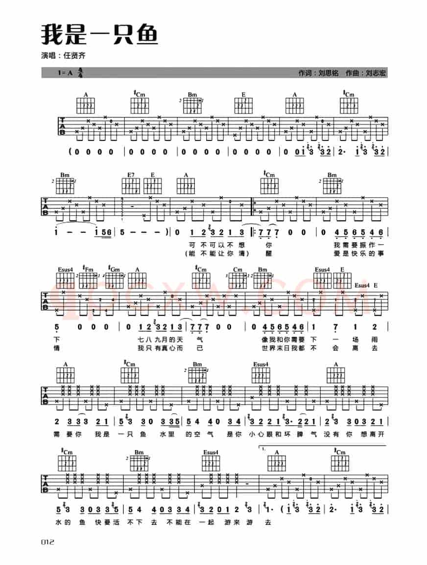我是一只鱼
