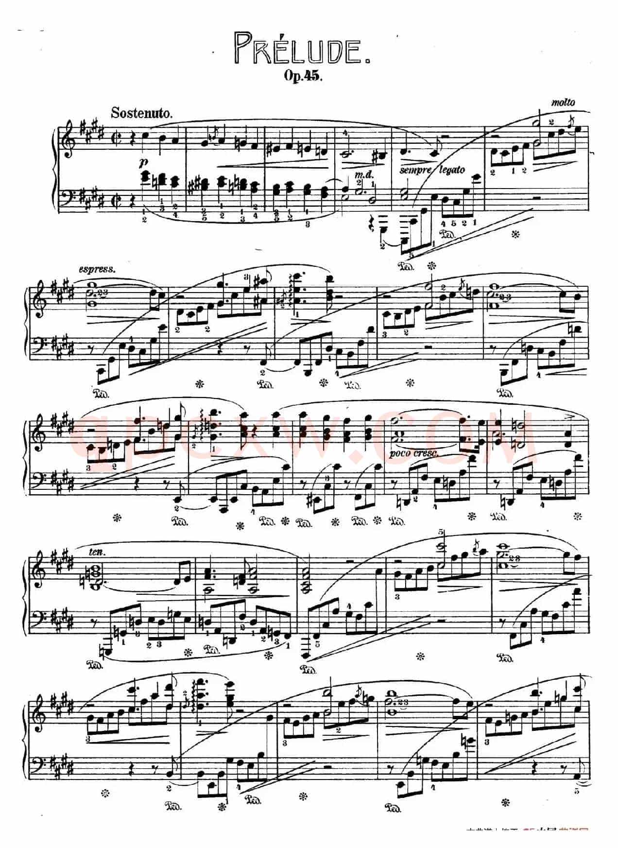 Prelude in c-Sharp Minor Op.45(升c小调前奏曲 )