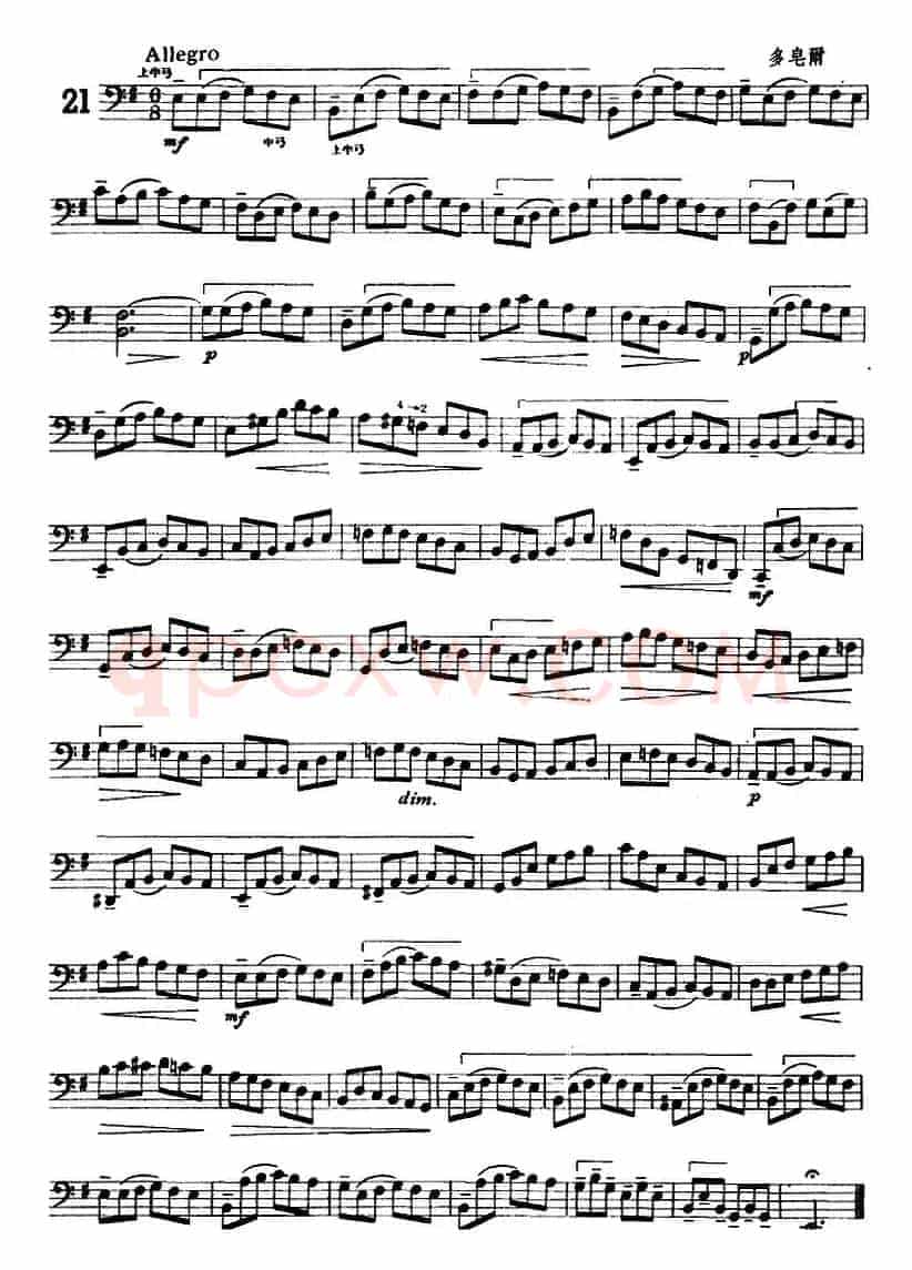 大提琴练习曲：大把位（16—21）