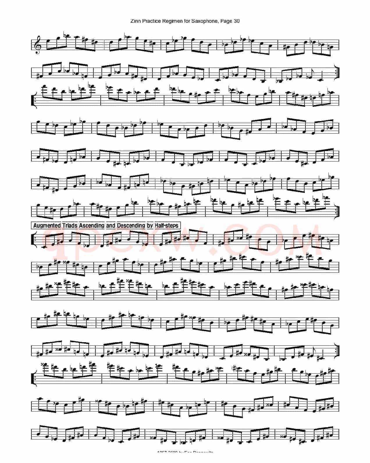 ZinnRegimenSax2009练习曲