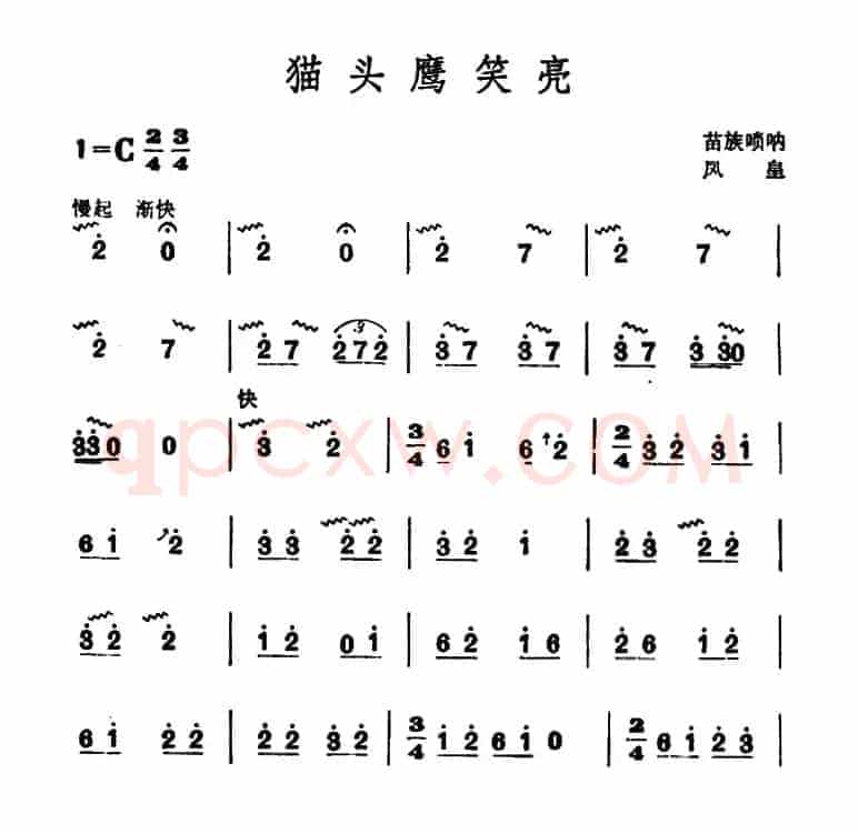 猫头鹰笑亮（苗族唢呐）