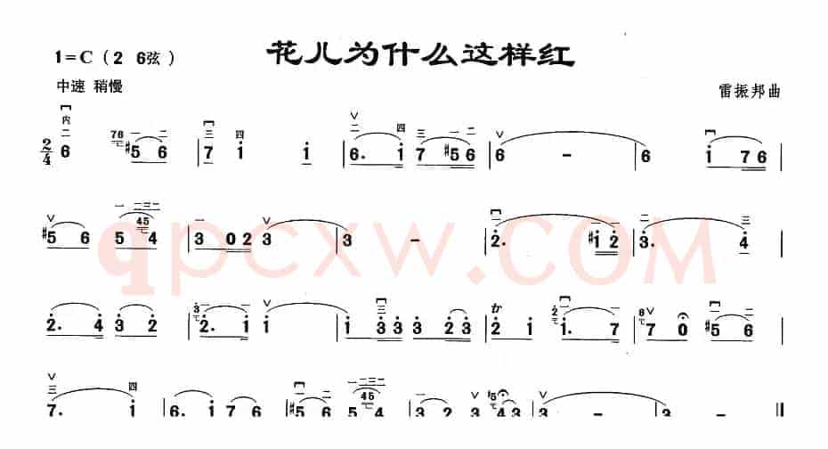 花儿为什么这样红