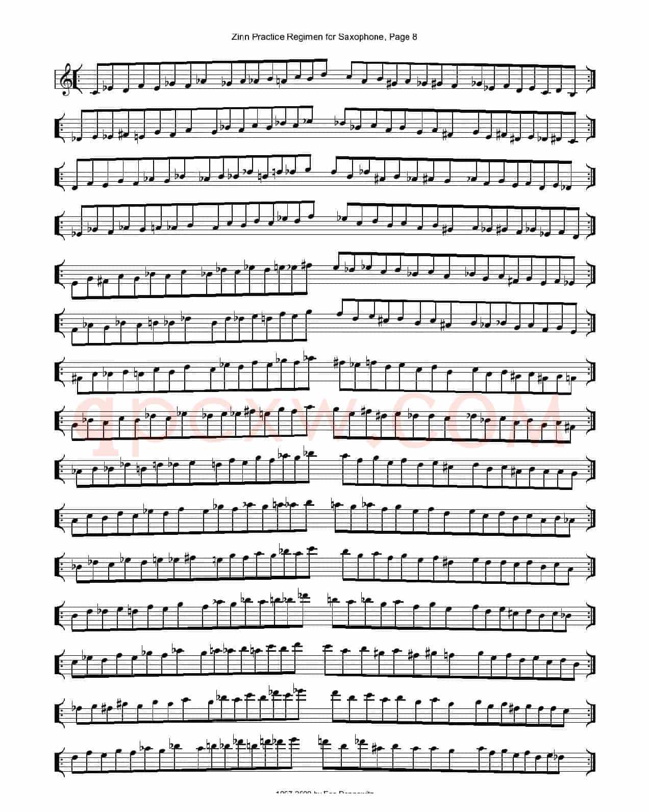 ZinnRegimenSax2009练习曲