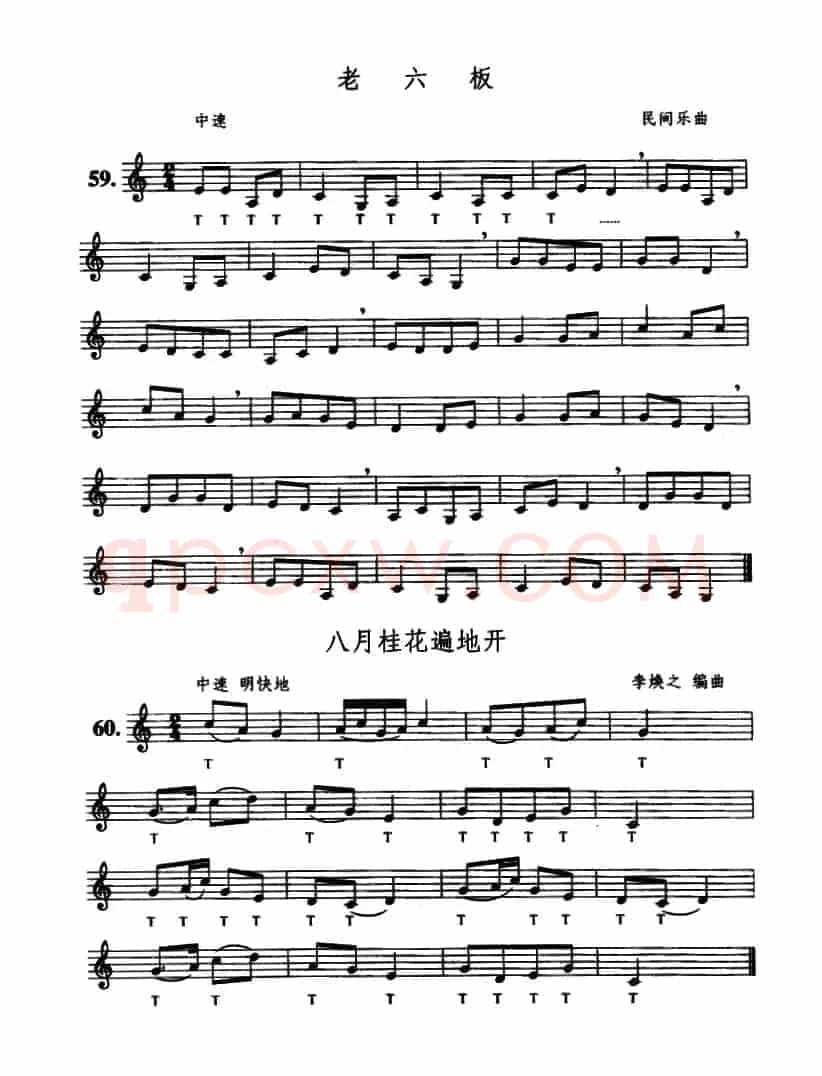 老六板/八月桂花遍地开
