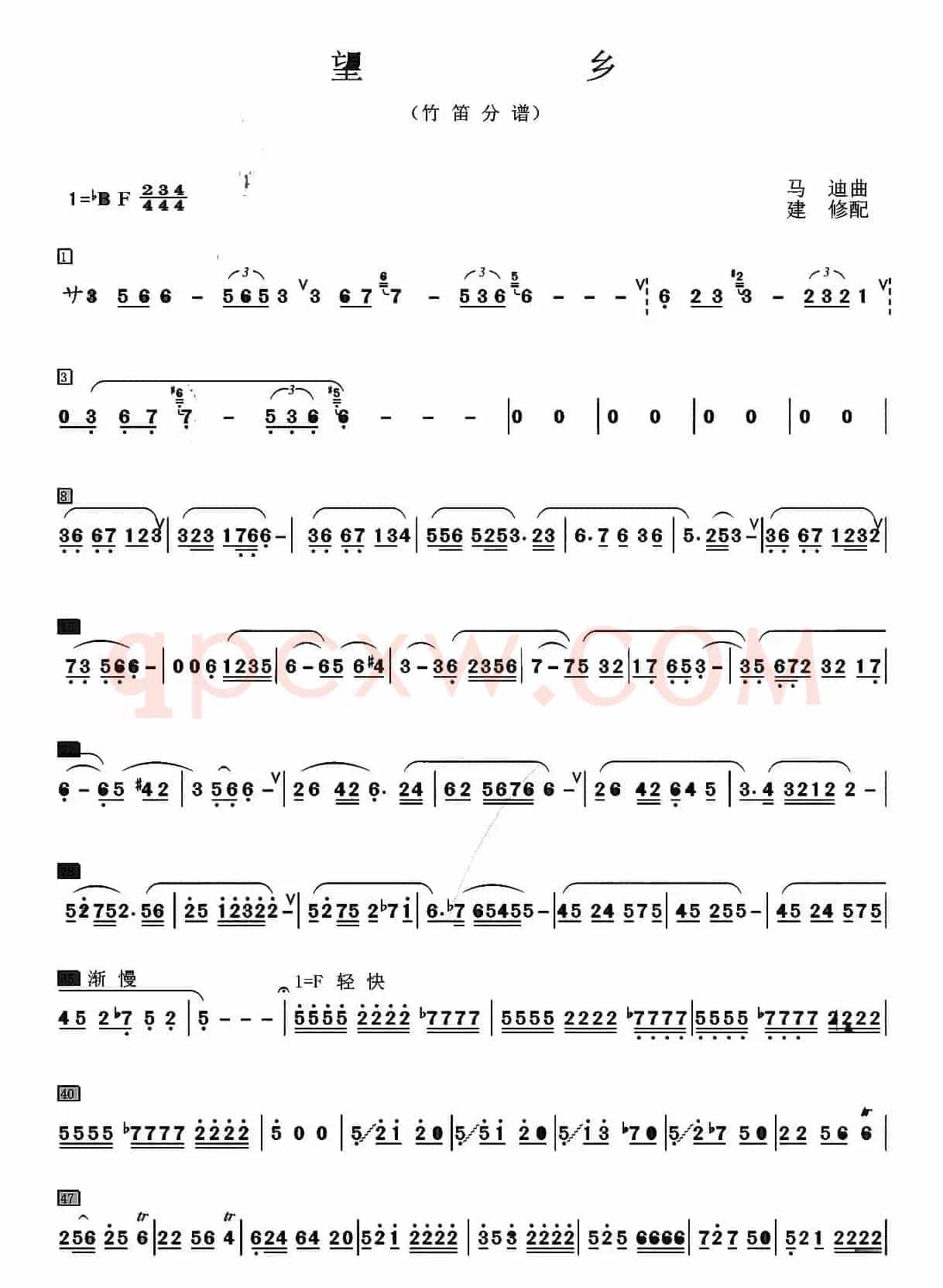 望乡（笛子独奏+乐队伴奏竹笛分谱）