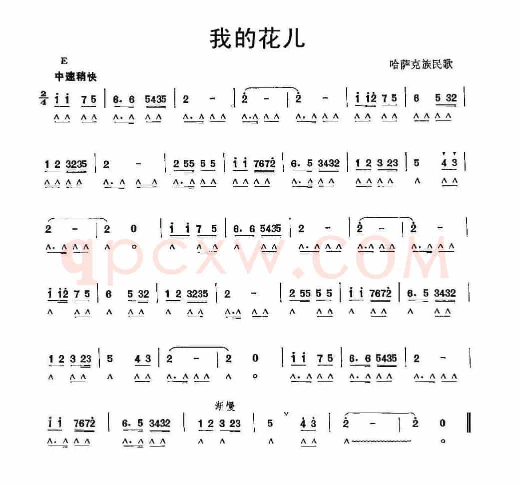我的花儿