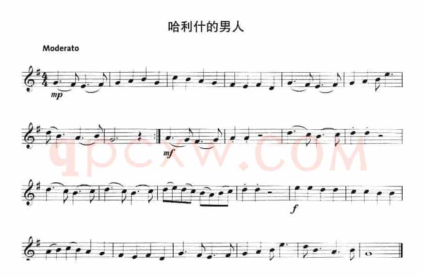 哈利什的男人
