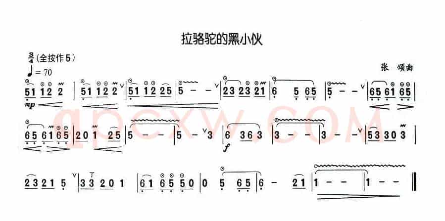 拉骆驼的黑小伙