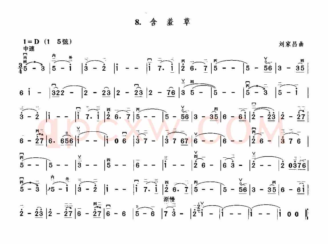 含羞草