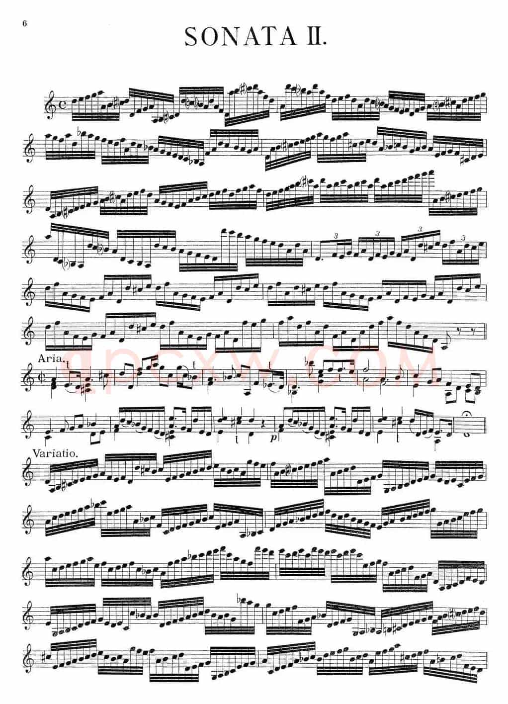 Biber Violin Sonata II