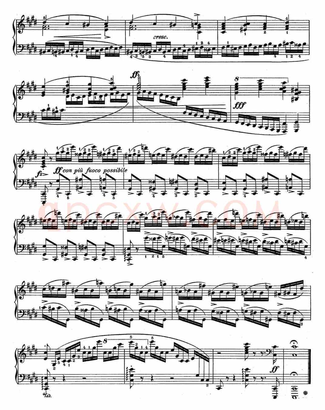 肖邦练习曲4 Op.10 No.4 激流 升c小调 C minor Torrent