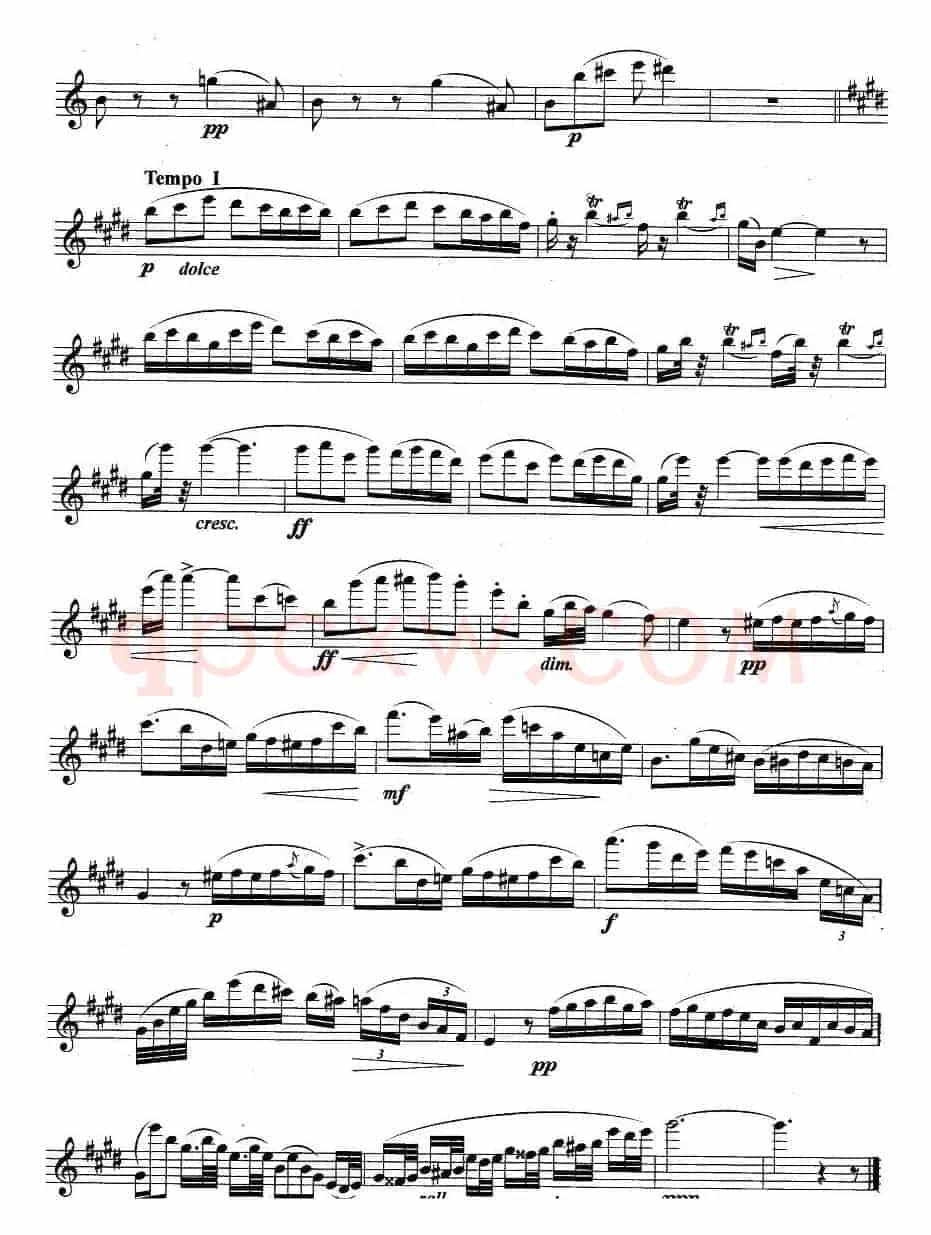 摇篮曲（多普勒作曲版）