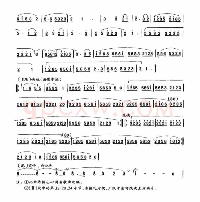 小白杨（曲笛）