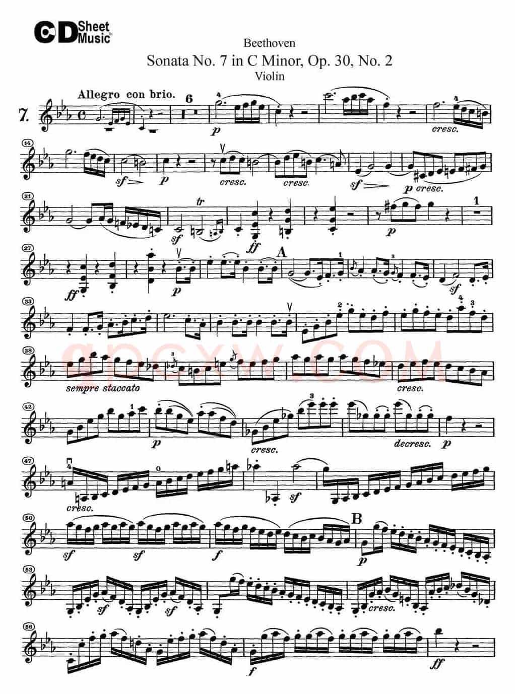 Violin Sonata No.7 in C Minor Op.30 No.2