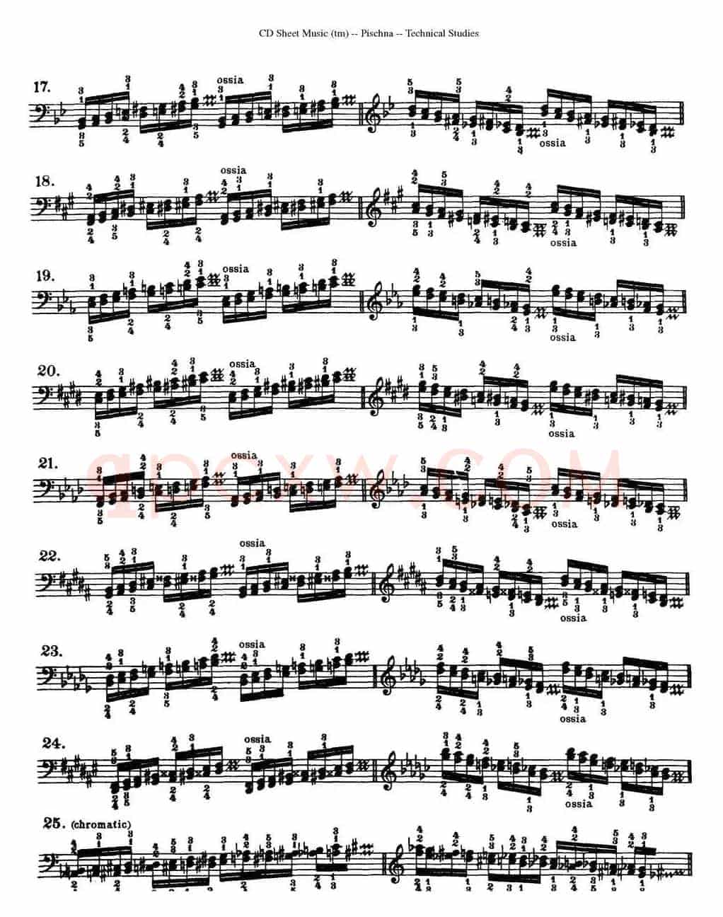 Technical Studies 60 Progressive Exercises (60首钢琴循序渐进练习曲 P91——99)