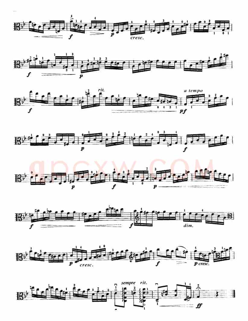 g小调组曲(中提琴)