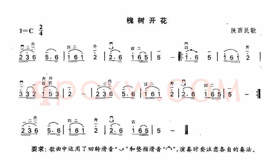 槐树开花