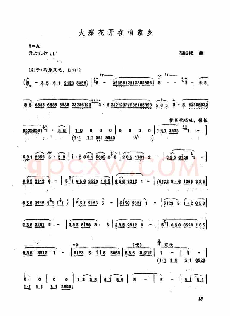大寨花开咱家乡