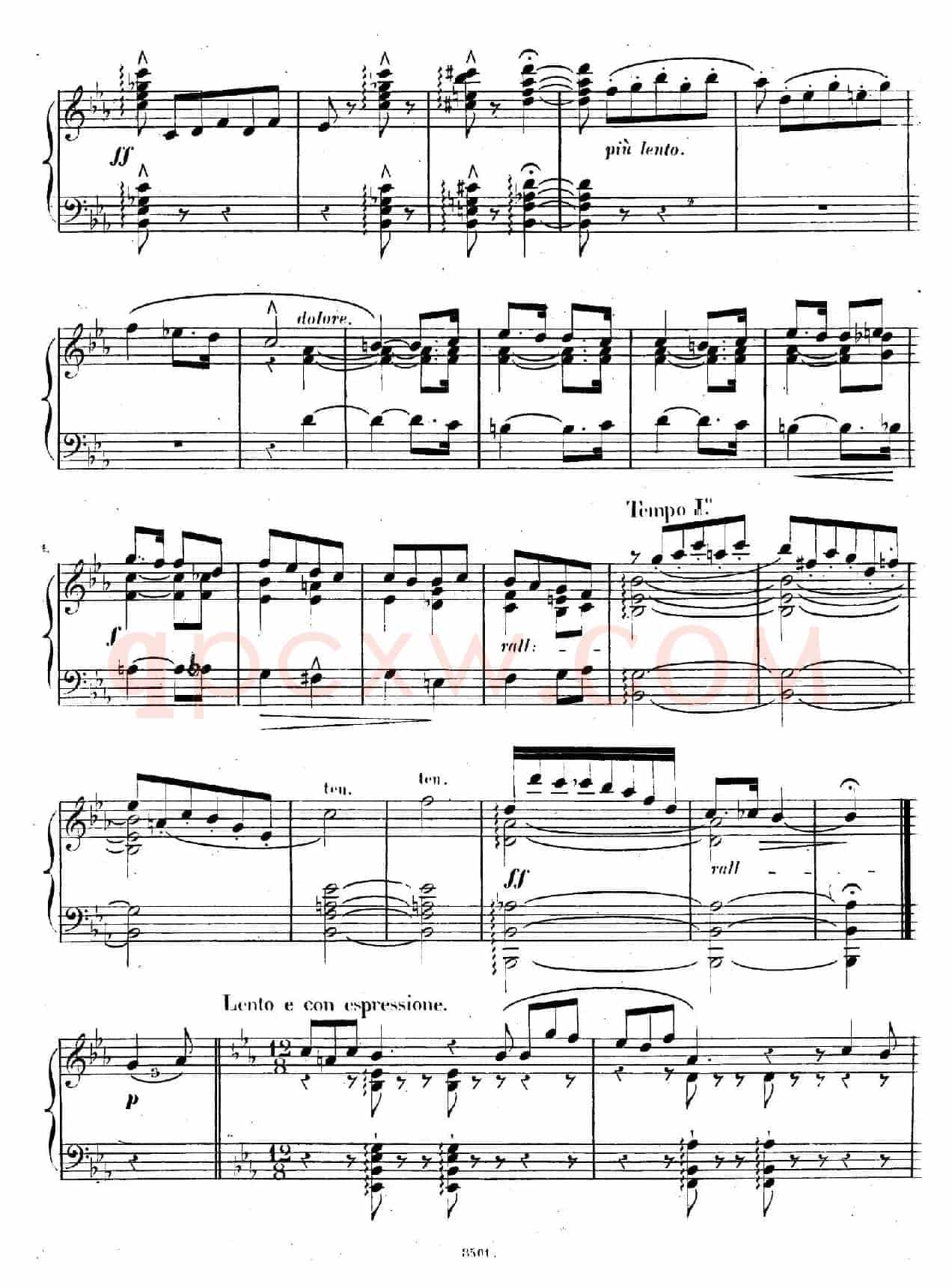 Caprice Etude de Concert