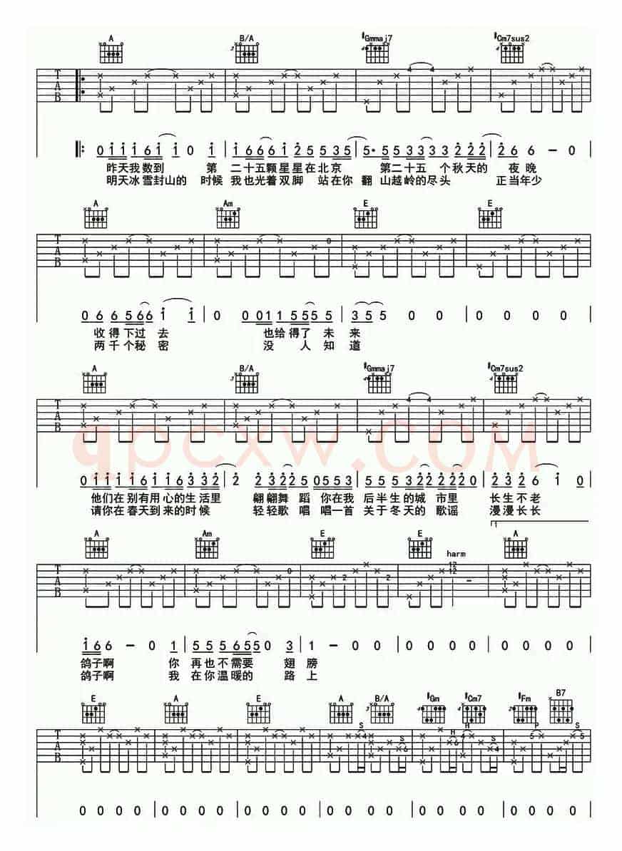 鸽子（宋冬野 词曲）