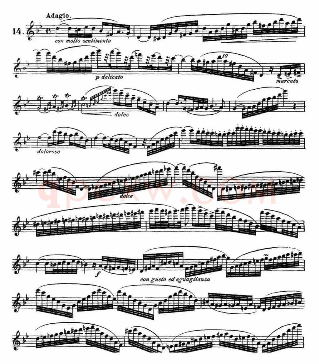 柯勒30首高级长笛练习曲作品75号（NO.14）