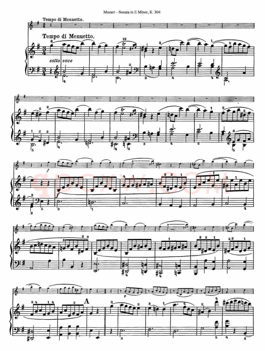Violin Sonata in E Minor K.304（小提琴+钢琴伴奏）