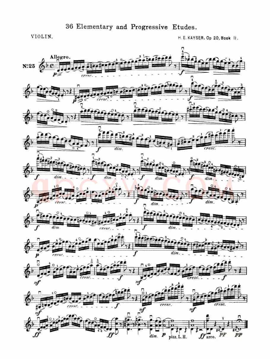 开塞（KAYSER 36首小提琴练习曲之25）