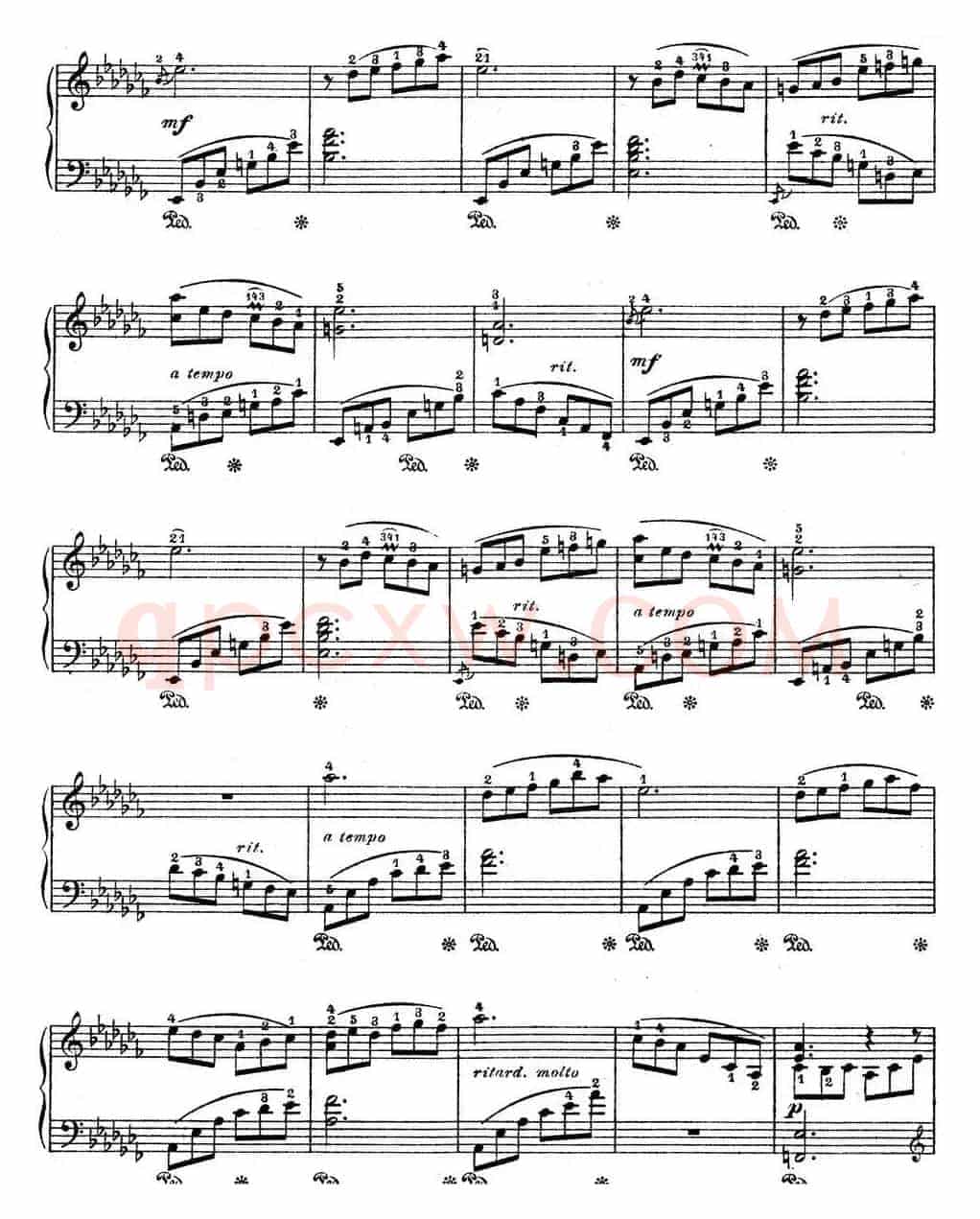 Suite Espanola Op.47（西班牙组曲·Ⅷ）