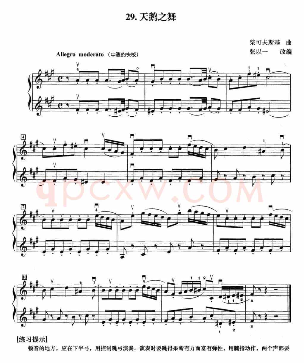 初级小提琴二重奏：天鹅之舞