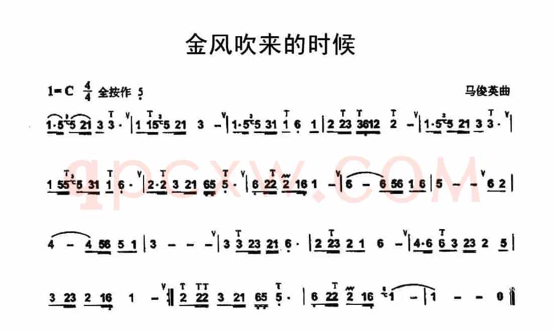 金风吹来的时候