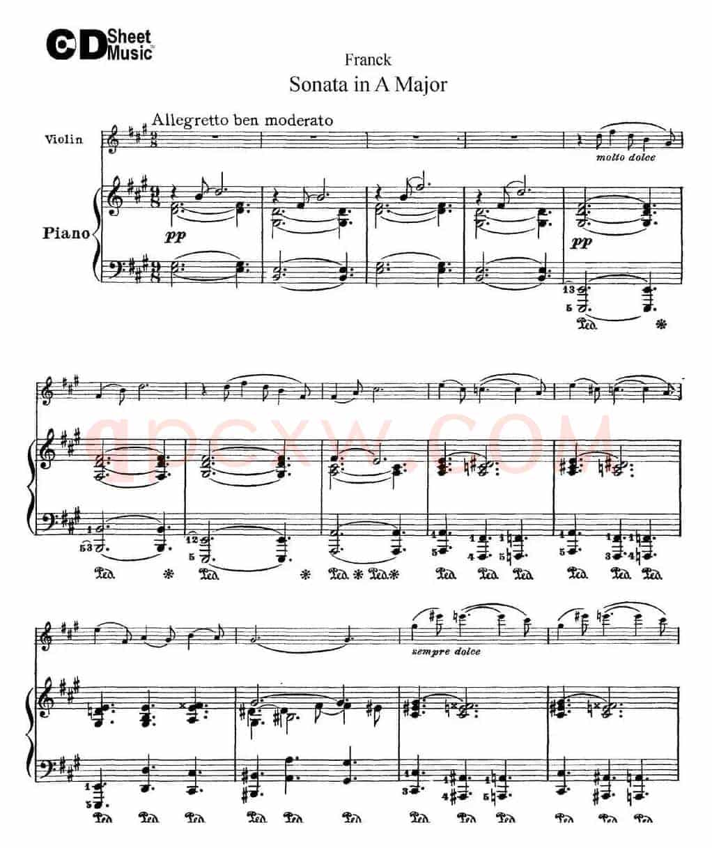 Franck Sonata in A Major（小提琴+钢琴伴奏）