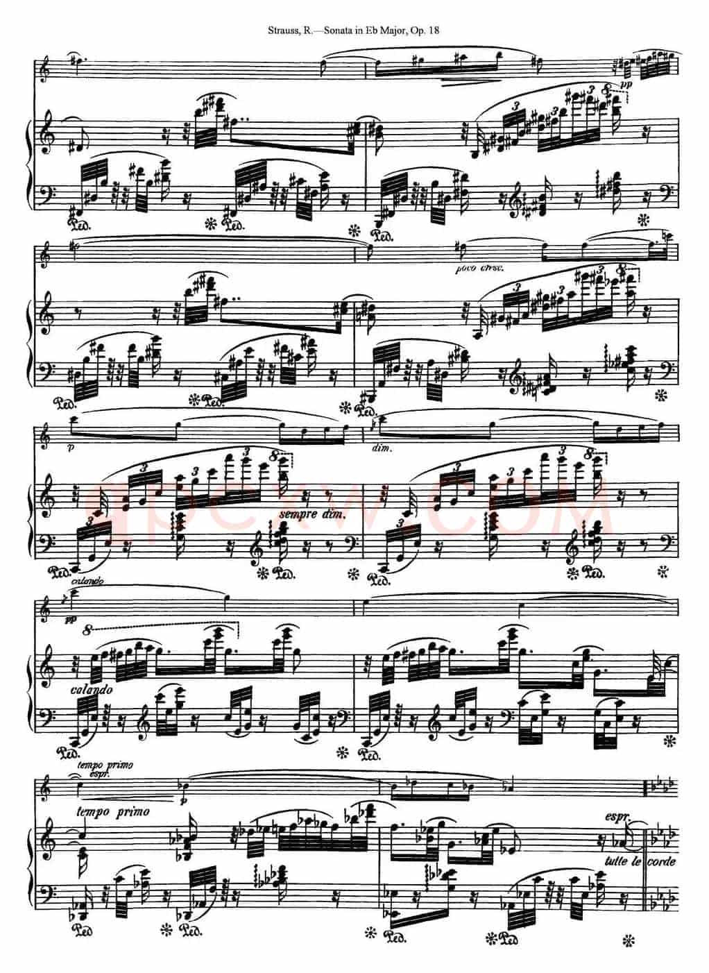 Violin Sonata in Eb Major Op.18（小提琴+钢琴伴奏）