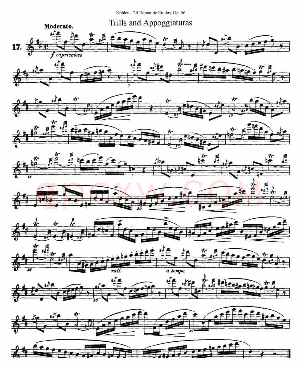 25首浪漫练习曲作品66号（NO.17）