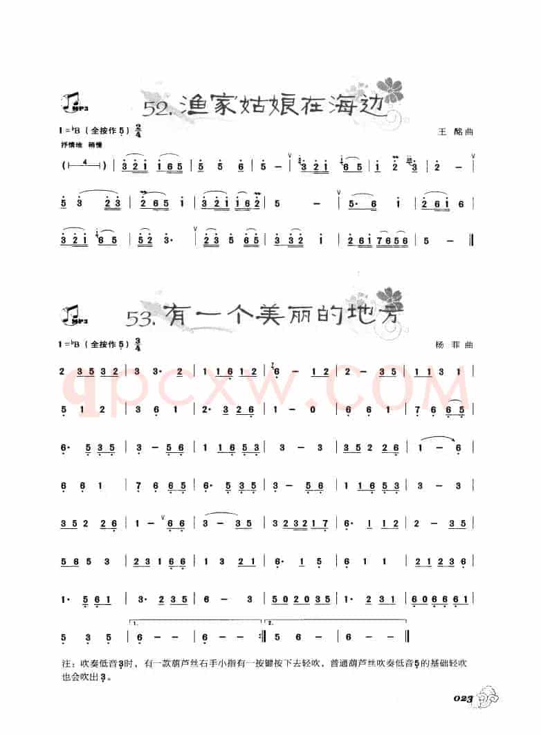 葫芦丝曲精选：渔家姑娘在海边 有一个美丽的地方
