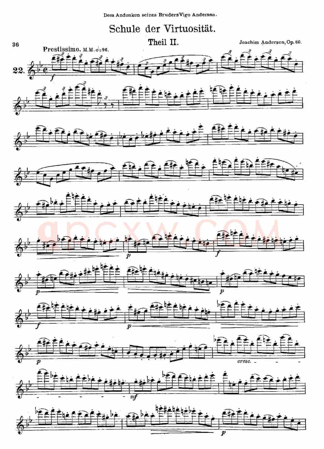 Schule der Virtuosität. Op. 60（22）