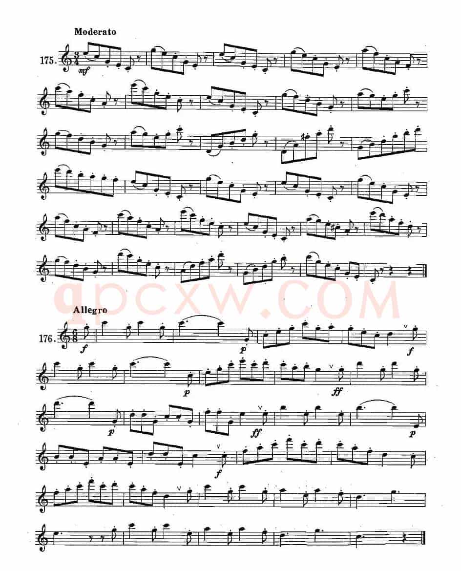 练习曲合集：28、断音练习