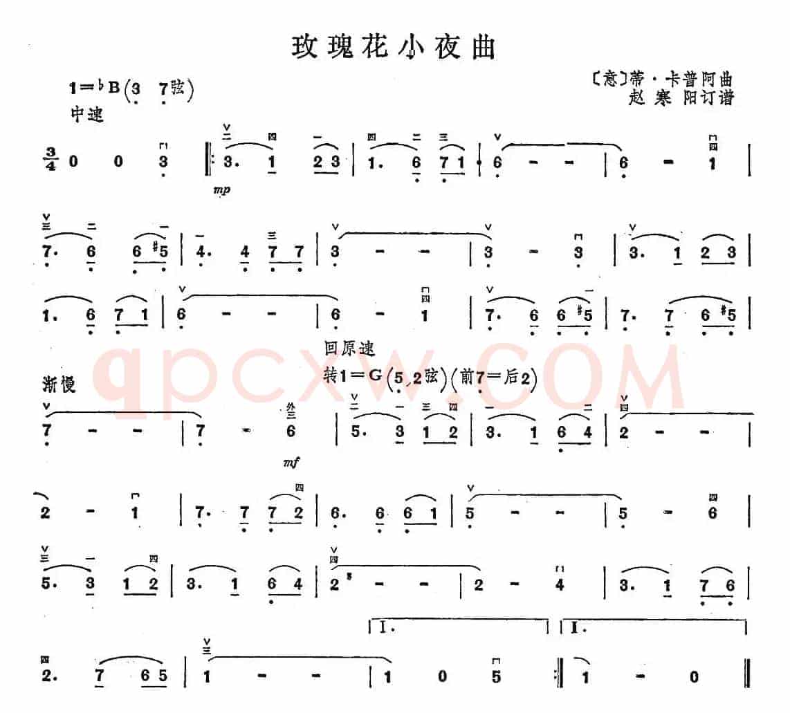 玫瑰花小夜曲