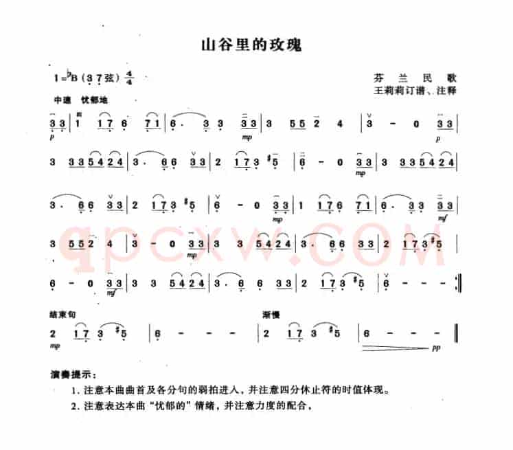 山谷里的玫瑰