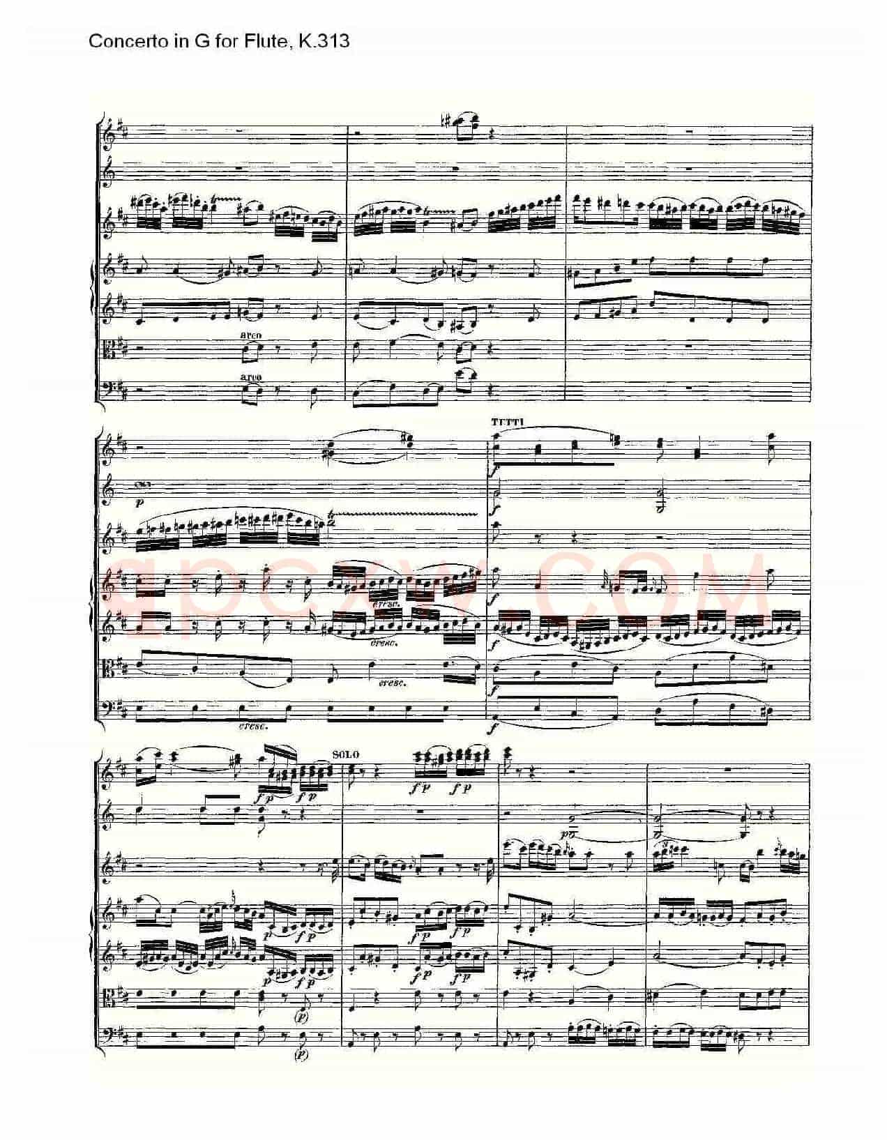 Concerto in G for Flute, K.313（G调长笛协奏曲, K.313）