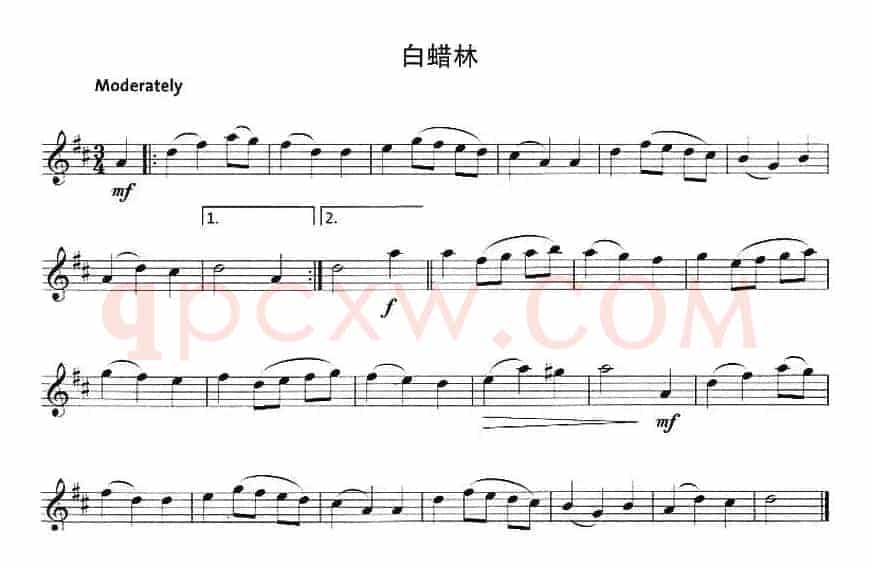 白蜡林