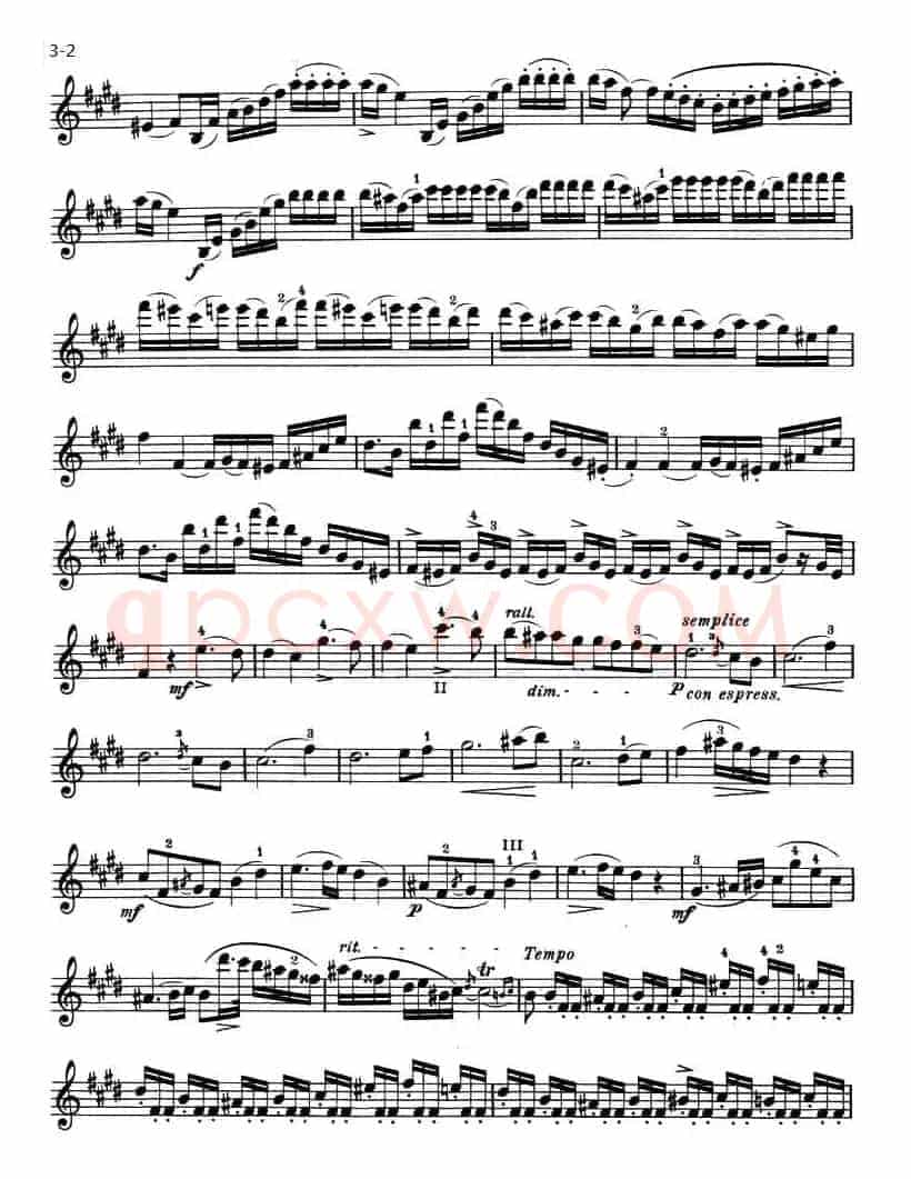 ALLEGRO MAESTOSO（庄严的快板）