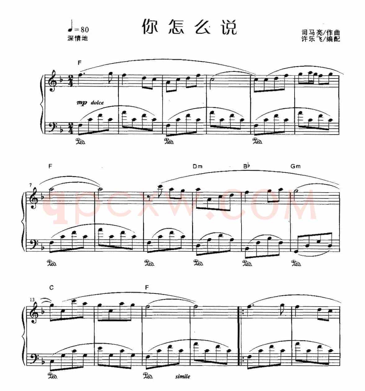 你怎么说（许乐飞编配版）