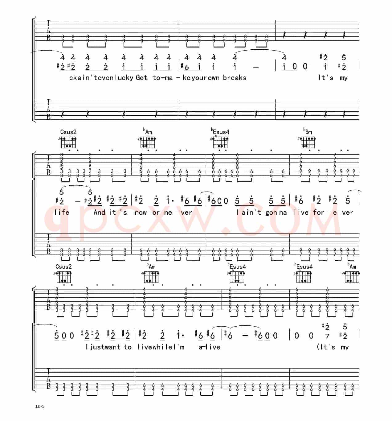 It's my life（电吉他 双吉他版）