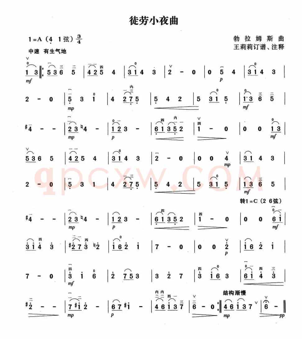 徒劳小夜曲