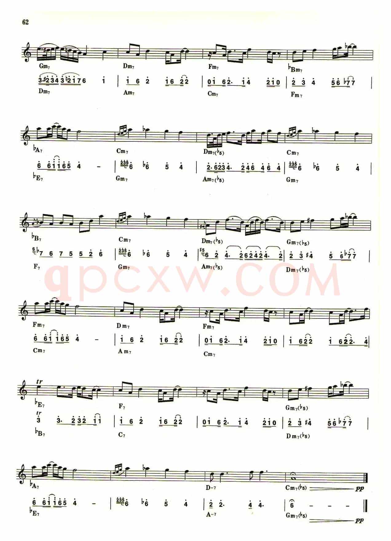 野猫布鲁斯（线简谱对照版）