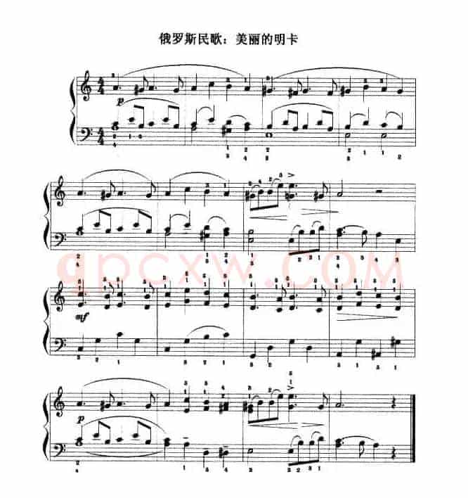 美丽的明卡